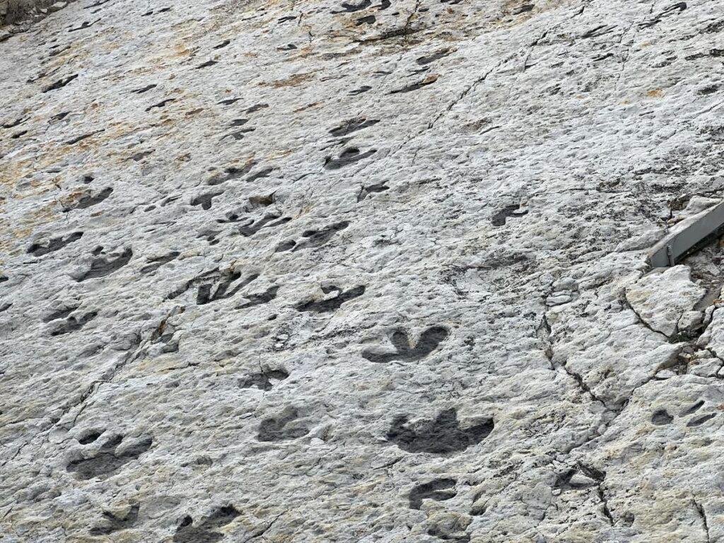 dinosaur ridge at red rocks